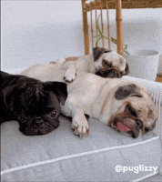 Weekend Sunday GIF