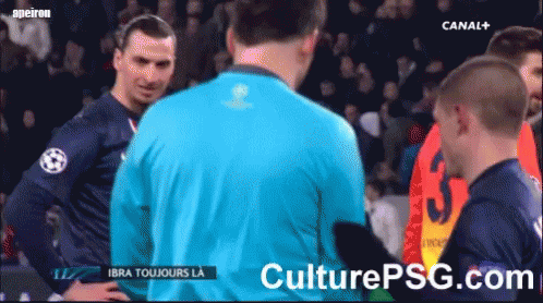 josegreef giphyupload GIF