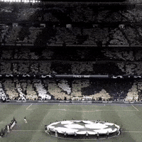 CanaldoJX  GIF