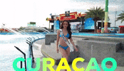 Miss Universe GIF by Xfrm.io