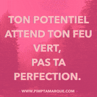 Business Canada GIF by PIMP TA MARQUE