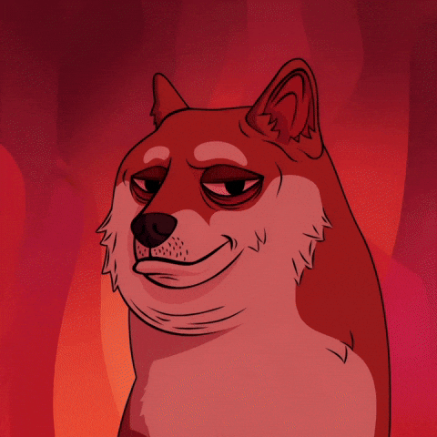 Suspicious Shiba Inu GIF by Doge Pound