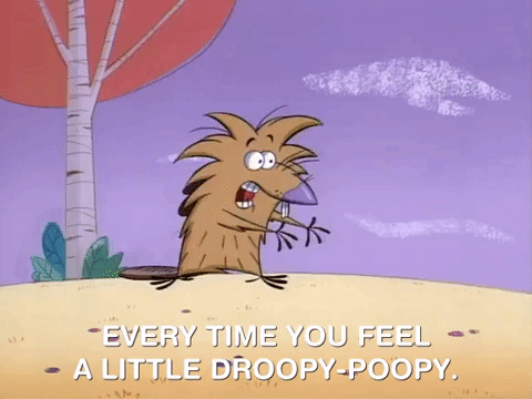 nickrewind giphydvr nicksplat angry beavers giphyab006 GIF