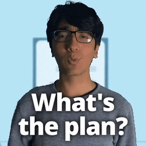 What's the plan?