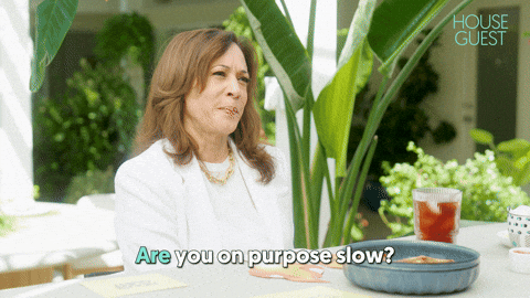 Are You Slow Kamala Harris GIF