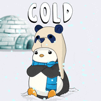 Freezing Cold Weather GIF by Pudgy Penguins