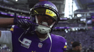 Us Bank Stadium Gameday GIF by Minnesota Vikings