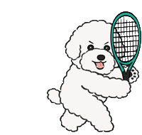 Dttennis Sticker by DT