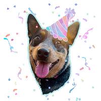 Happy Birthday Sticker