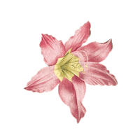 Pink Baby Sticker by Marlo Kids