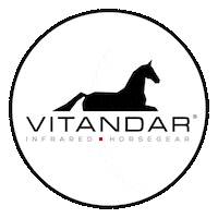 Horse Pony Sticker by vitandar