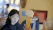 viceland GIF by THE ICE CREAM SHOW