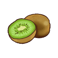 Kiwi Sticker