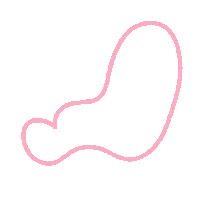 Pink Line Sticker