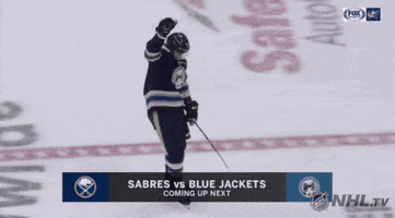 nhl sports sport hockey nhl GIF