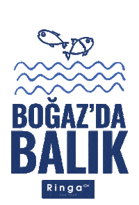 Istanbul Seafood Sticker by Kosebasi Restaurant