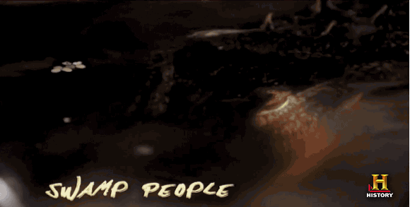 redneck terrifying GIF by Swamp People