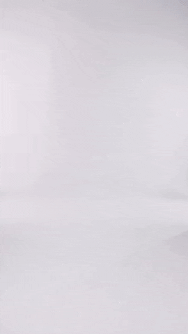 GIF by The Digital Fairy