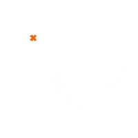 Sport Fitness Sticker by FitX