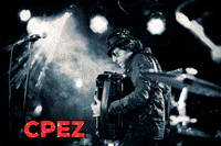 CPezMusic accordion harmonika accordeon accordian GIF