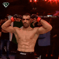 Beinpakistan GIF