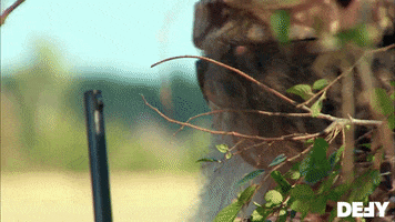 Duck Dynasty GIF by DefyTV