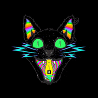 dilektunc cat trippy nft kitty GIF