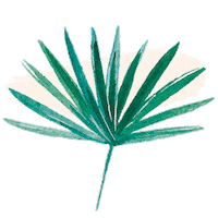 coco bali Sticker by Camille Florès