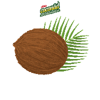 klfcoconad coconut coconutoil klf klfcoconad Sticker