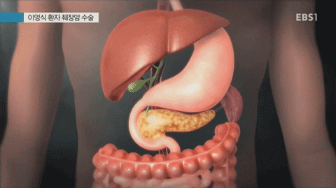 Insight_video giphyupload GIF