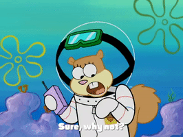 season 4 GIF by SpongeBob SquarePants