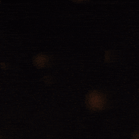 Tbs GIF by THE BEARD STRUGGLE