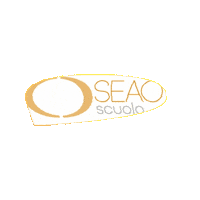 Seaoscuola seaoscuola seao scuola scuola elementale scuola seao Sticker
