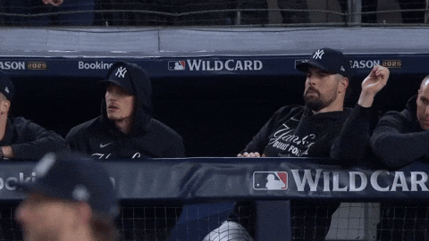 New York Yankees GIF by MLB