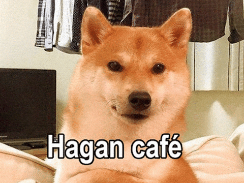 Coffee Cafe GIF by Terabusi