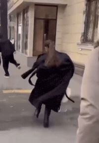 Dilya GIF