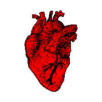 Heart Corazon Sticker