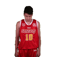 Asean Basketball League Sticker by ABL