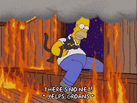 homer simpson snowball GIF