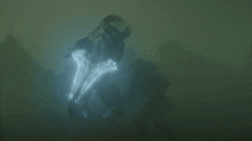 Season 2 Fight GIF by Paramount+