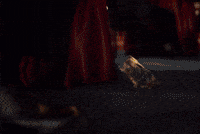 Perfect World GIF