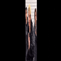 Numberi GIF