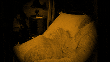 Morning Omg GIF by Det Danske Filminstitut