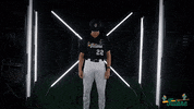 Cristian Sanchez Tulane GIF by GreenWave