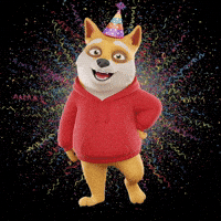 Happy Fun GIF by Doge Pound