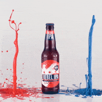 India Pale Ale Paint GIF by Samuel Adams Beer