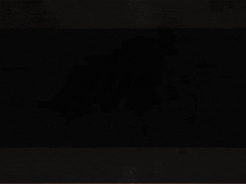 Seikatsu_Media_Center giphygifmaker crazy critters GIF