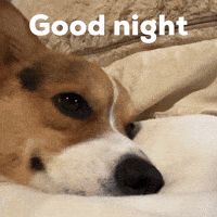 Good Night GIF