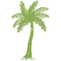 Palm Tree Vacation Sticker by Ashley Rose Clothing
