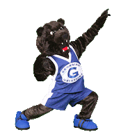 GeorgianCollege heart logo blue green Sticker